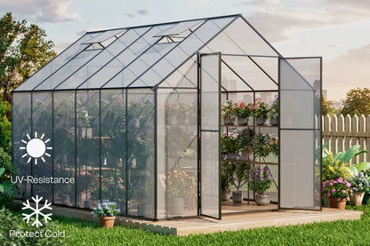 Patio Kingdom greenhouse 8*12